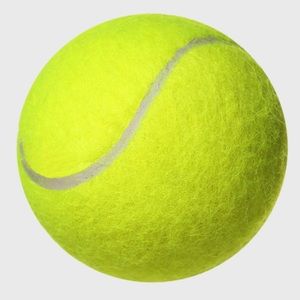 Meet your Posher, Jeana